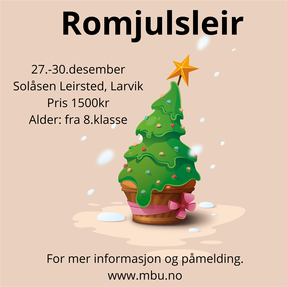 Romjulsleir 